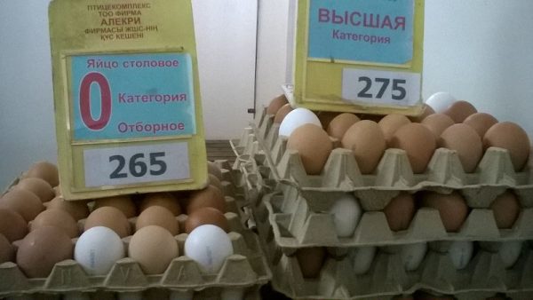 Яйца вновь подорожали: сколько стоит этот продукт в разных регионах Казахстана