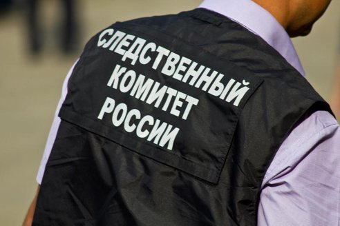 СК сообщил об угрозах силовикам от напавших на москвича в метро