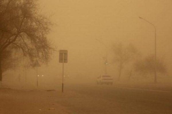 Сильная пыльная буря накрыла дороги в двух регионах Казахстана (видео)