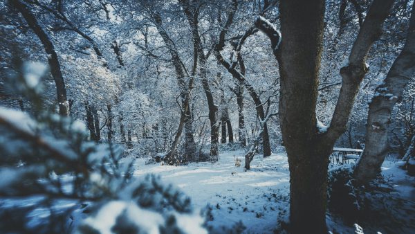 Морозы, метель и гололед: прогноз погоды в Казахстане на 28 декабря