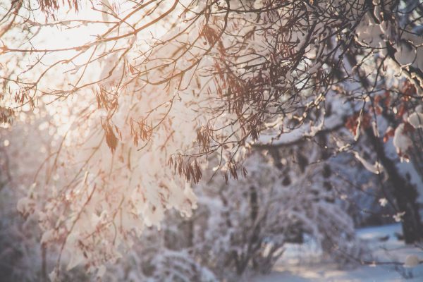 Морозы до 35 градусов: какой будет погода в Казахстане на Новый год