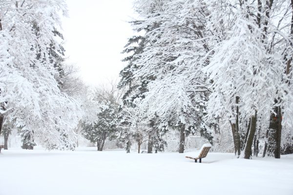 Метель, гололёд и мороз: прогноз погоды в Казахстане на 24 декабря
