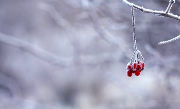 Морозы до -33 градусов и снег: каким будет февраль в Казахстане