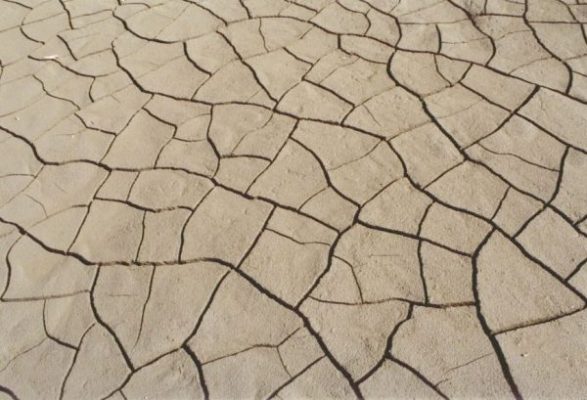 Засуха ожидается в четырех регионах Казахстана