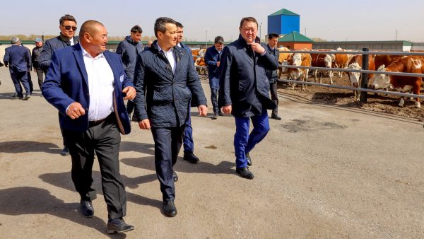 Смаилов: в РК появятся новые рабочие места и молочно-товарные фермы