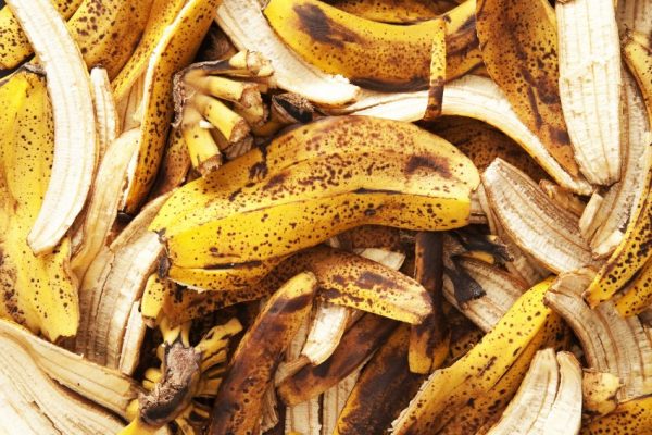 Ученые рассказали, зачем есть невкусную кожуру банана