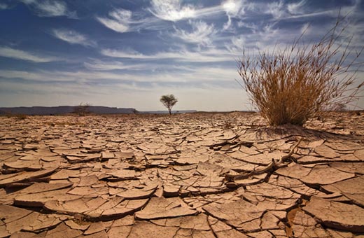 В двух регионах Казахстана прогнозируют сильную засуху