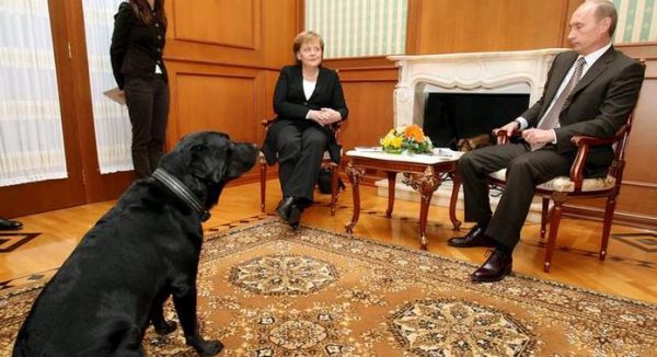 Меркель впервые раскрыла правду о приступах дрожи в 2019 году и инциденте с собакой Путина