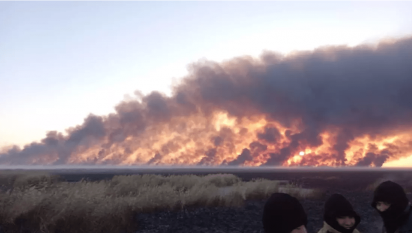 Город накрыл пепел и черный дым: вертолет привлекли к тушению пожара близ Атырау