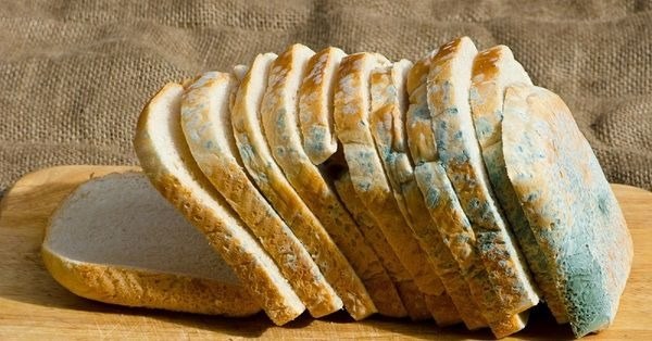 Врач объяснил, будет ли безопасным продукт после срезания с него плесени