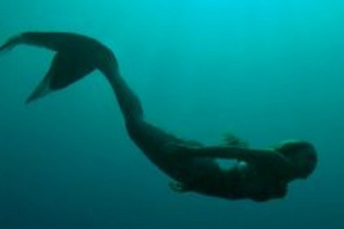 На берегу Черного моря нашли живую русалку — впечатляющие кадры