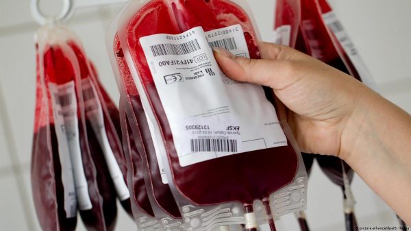 Группа крови и здоровье: исследователи рассказали, связаны ли эти понятия
