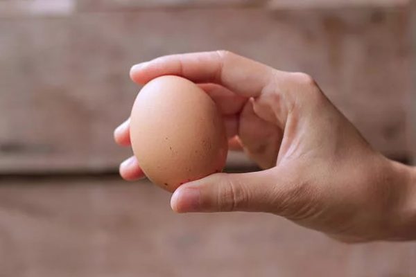 Яйца перед варкой нужно потрясти: удивитесь зачем