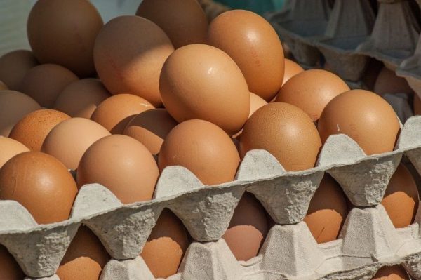 Все это время хранили неправильно: куриные яйца будут свежими до трех месяцев