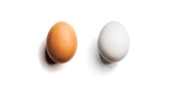 Запомните это! В чем разница между белыми и коричневыми яйцами