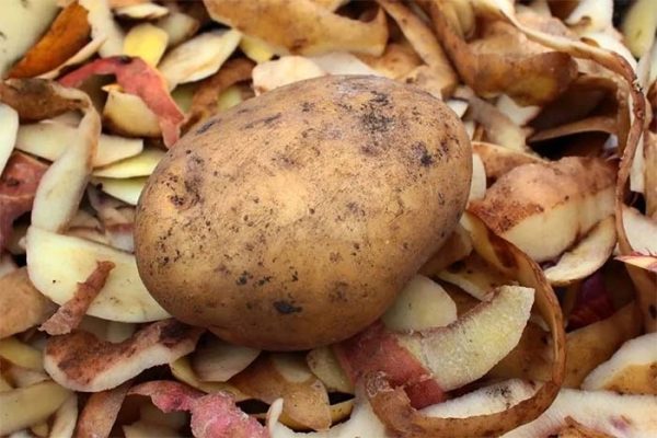 Не выбрасывайте кожуру от картофеля: она на вес золота