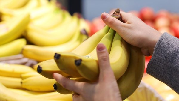 Самые сладкие бананы везут из этой страны: на полках ищите только их