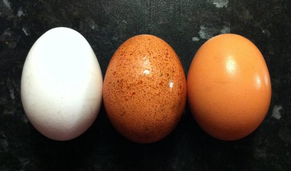 Что случится с телом, если каждое утро съедать три яйца