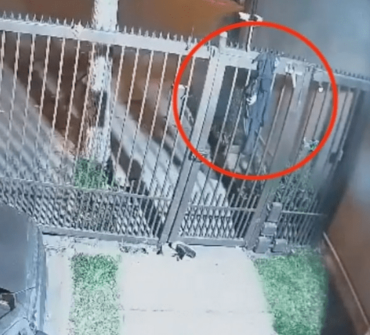'Would-be Car Thief' Caught With Her Pants Down After Getting Them ...