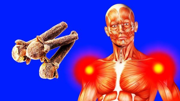 What happens to your body when you eat cloves every day?