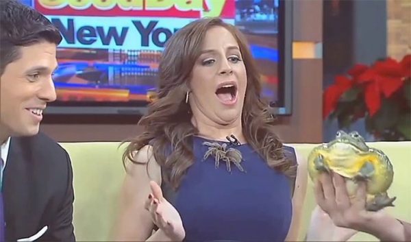 Watch funny bloopers of news anchors losing it!