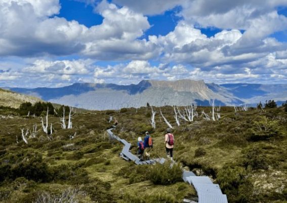 Top Challenging Trails to Try