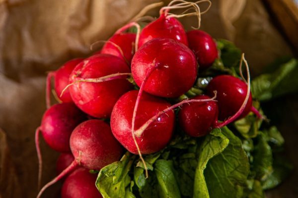 Как действуют редиска на организм: будете удивлены