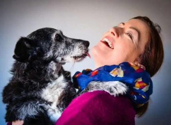 Does your dog understand you? 10 habits that are worth paying attention to