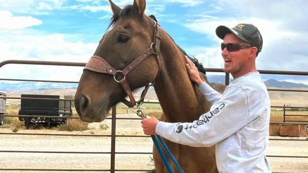 A farmer finds a horse that has been missing for eight months. Find out what happened to the horse
