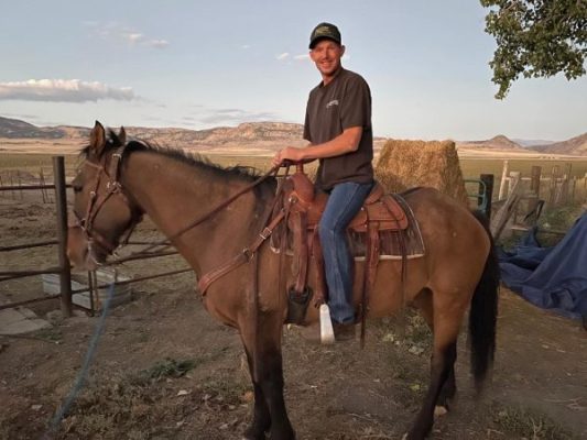 A farmer finds a horse that has been missing for eight months. Find out what happened to the horse
