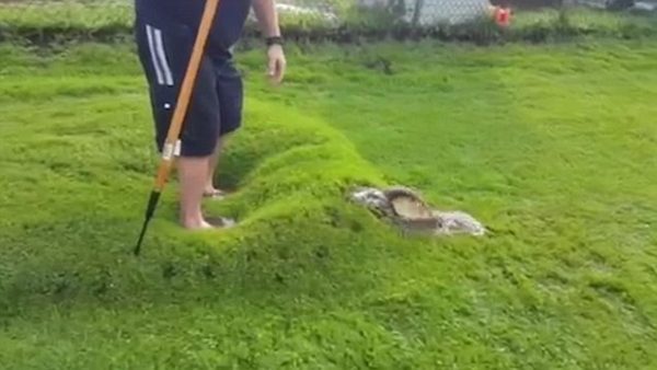 „Nie próbujcie tego w domu, dzieciaki”: Mężczyzna, który po ulewnym deszczu znalazł „bąbel wody” pod trawnikiem, wskoczył na niego, a następnie UDERZŁ go kijem