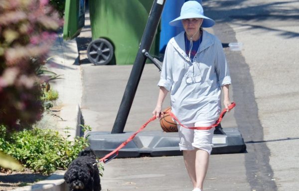 The Heartbreaking Tragedy of Sally Field at 78