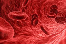 Cancro e sangue: chi ha gruppo 0 corre meno rischi secondo gli studi