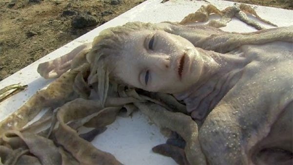 Sirena reale scoperta sulla riva del mare: immagini che lasciano senza parole