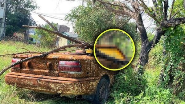 A man disappeared for 40 years until a woman bought an old used car