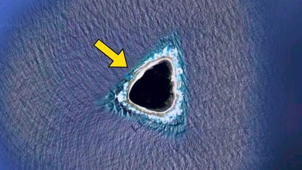 Scientists have finally figured out what the ‘black hole’ in the middle of the Pacific Ocean is