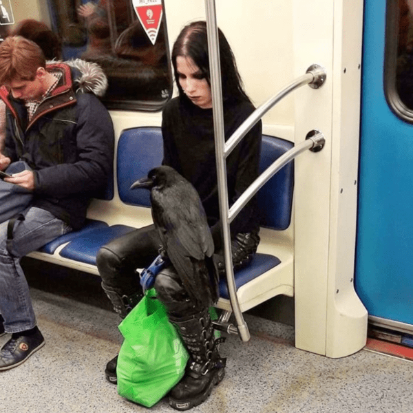 Chaos on the subway: the strangest and craziest moments spotted by passengers