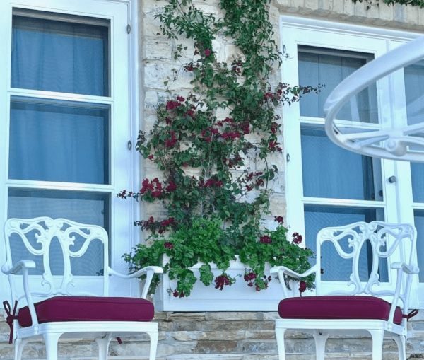 Barbra Streisand, 83, Shows Off Her Perfect Figure In A New Photo