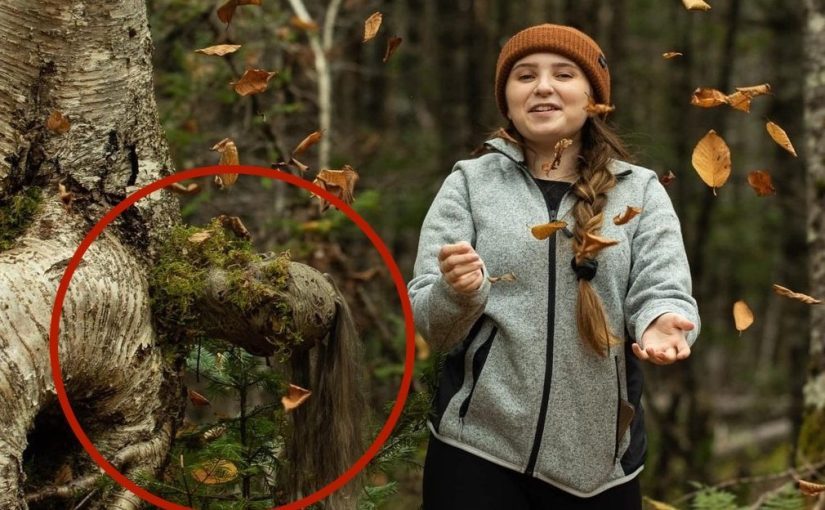 A crezut că era doar un copac ciudat – până când pădurea a prins viață
