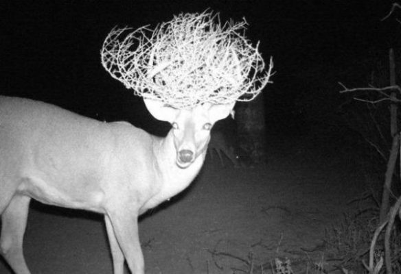 Fotografii uimitoare realizate cu camerele de traseu