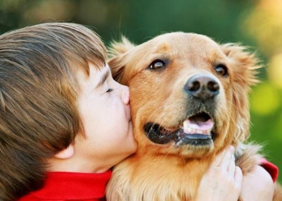 Te înțelege câinele tău? 10 obiceiuri la care merită să fii atent