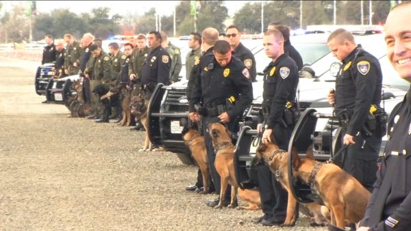 K9 Keeps Barking at Hay Bales… Officer Turns Pale When He Cuts One Open