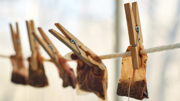Why Smart Homeowners Are Putting Tea Bags in Their Closets (And You Should Too)