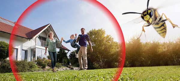 This simple trick will help repel wasps